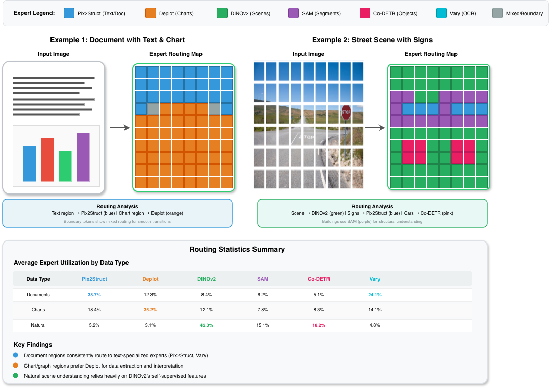 Token-level expert routing visualization showing different regions routed to specialized experts